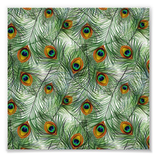 Foto Hermosa Feather Green Peacock (Frente)