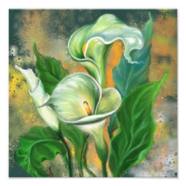 Foto Hermosa flor de Calla Lily - dibujo de arte mixto