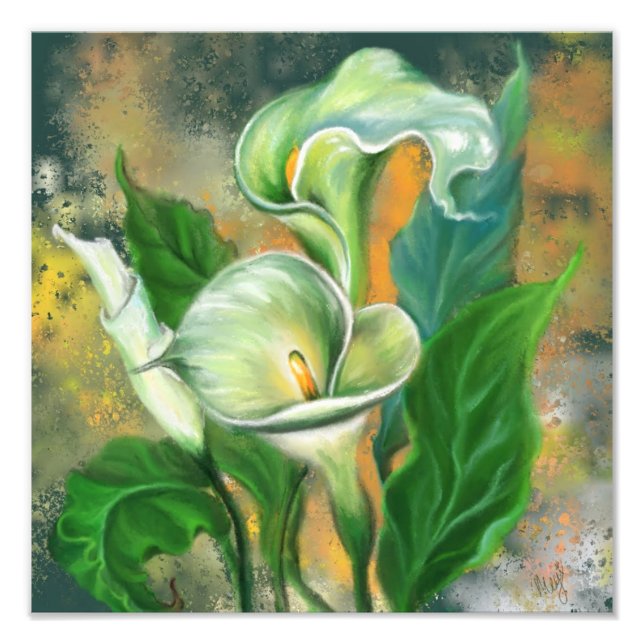 Foto Hermosa flor de Calla Lily - dibujo de arte mixto (Frente)
