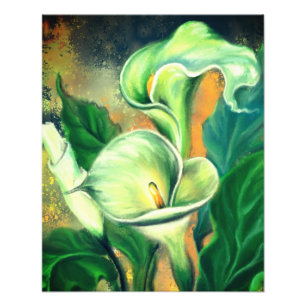 Foto Hermosa Flor de Lirio Calla - Dibujada por Migned