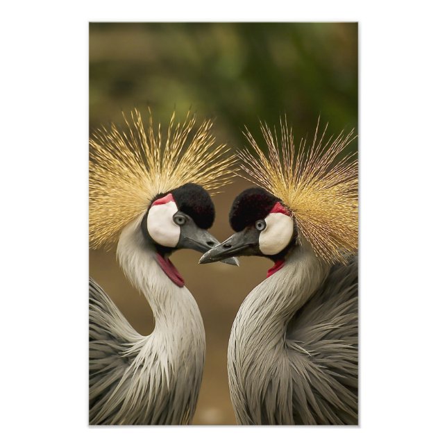 Foto Hermosa imagen de arte de pared de pájaro (Frente)