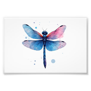 Foto Hermosa Naturaleza Patrón Gráfico Colorido Libélul