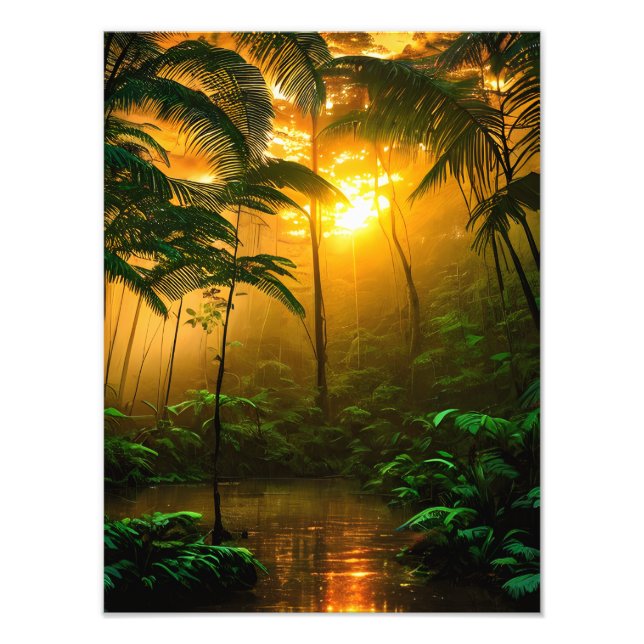 Foto Hermosa selva tropical con puesta de sol (Frente)