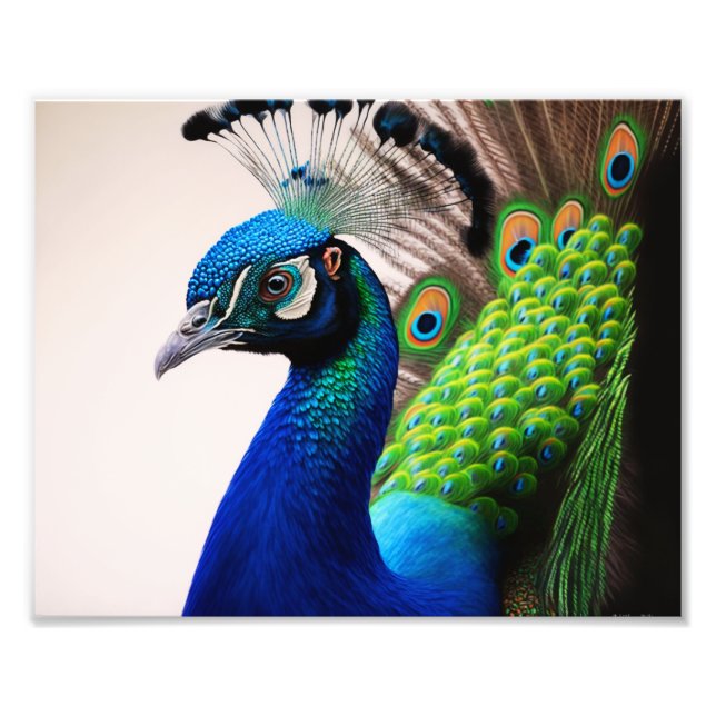 Foto Hermosa vida silvestre de aves de corral (Frente)