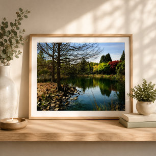 Foto Hermosa vista junto al lago