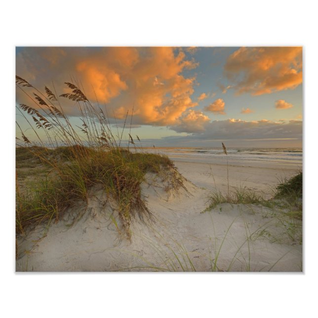 Foto Hermosas dunas de arena en la playa de Daytona, FL (Frente)