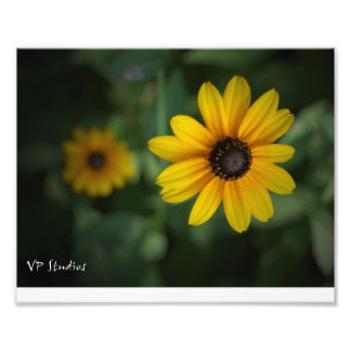 Foto ¡Hermosas flores amarillas!