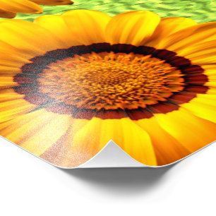Foto Hermosas flores amarillas en verde abstracto