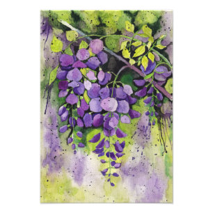 Foto Hermosas Flores De Wisteria En Acuarela