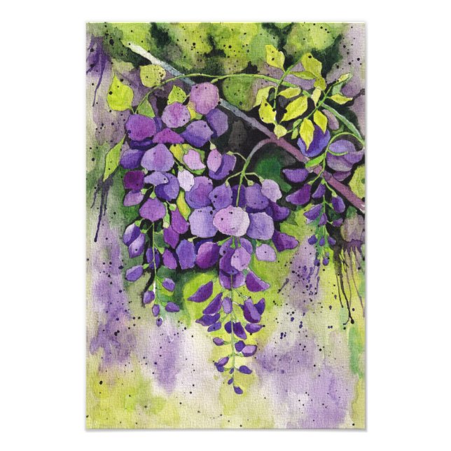 Foto Hermosas Flores De Wisteria En Acuarela (Frente)