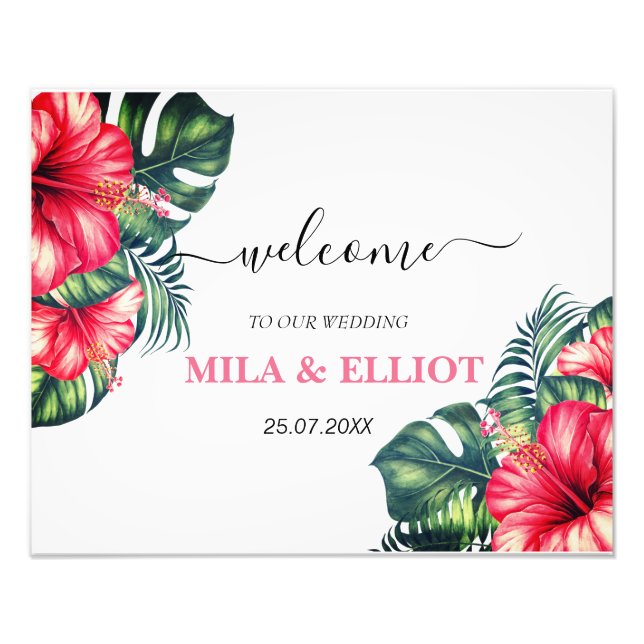 Foto Hermosas flores y poster de eucalipto (Frente)