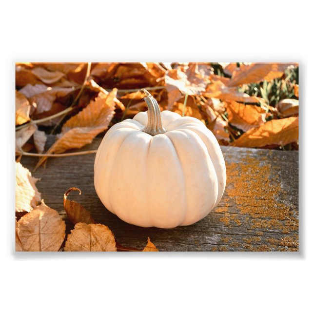 Foto Hermosas hojas otoñales de calabaza blanca (Frente)