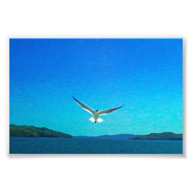 Foto Hermoso (Frente)