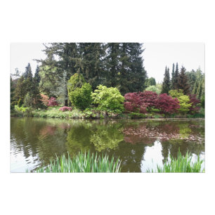 Foto hermoso paisaje de jardín botánico de verano, herm