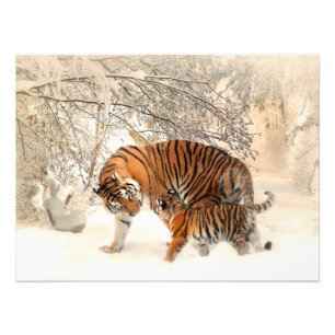 Foto Hermoso tigre y cachorro en la nieve