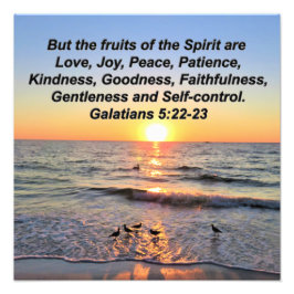 FOTO HERMOSOS GALATIANOS 5 SUNRISS