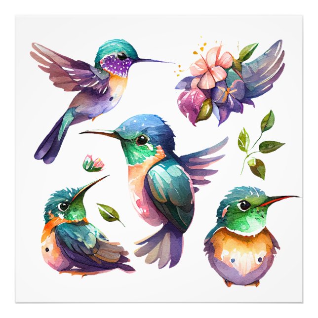 Foto Hermosos y bonitos colibríes para los amantes de l (Frente)