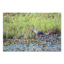 Foto Heron P6450
