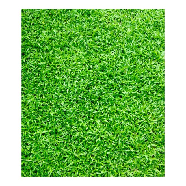 Foto Hierba verde (Frente)