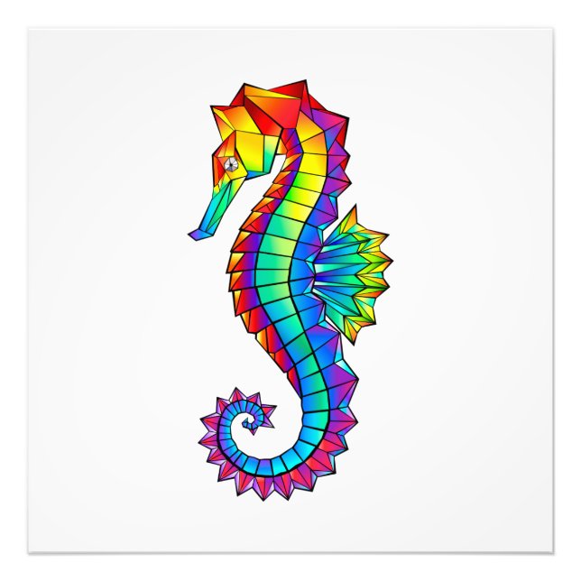 Foto Hipoahoría marino poligonal arcoiris (Frente)