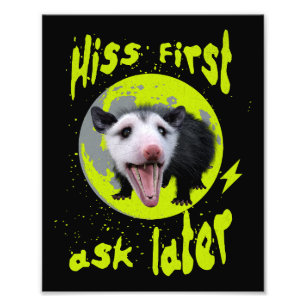 Foto Hiss First Ask Later Divertido Humor de Zarigüeya 