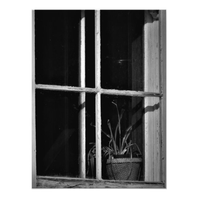 Foto "Historia Absorbida" (Frente)