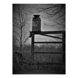 Foto "Historia en equilibrio"