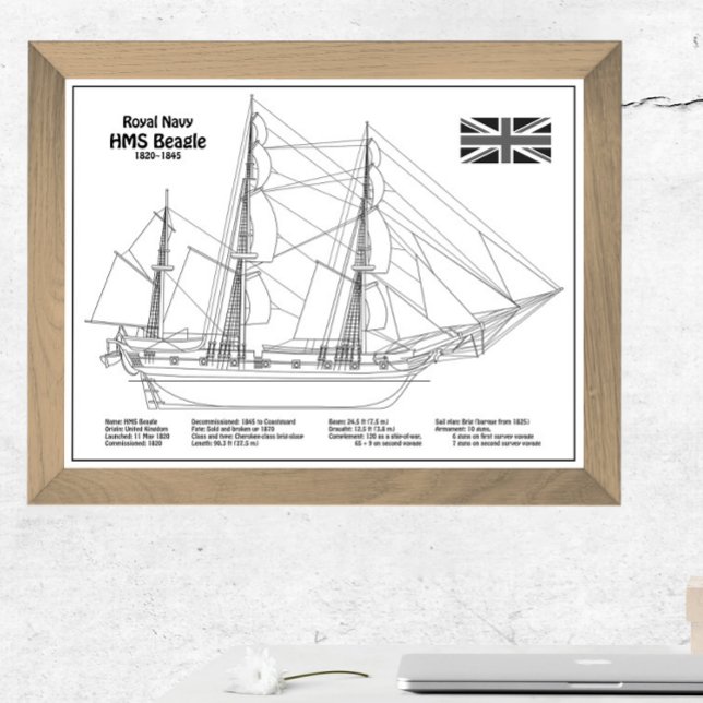 Foto HMS Beagle Tall Ship - Ship Blueprint BD (Subido por el creador)