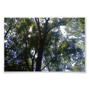 Foto Hogar de duendes