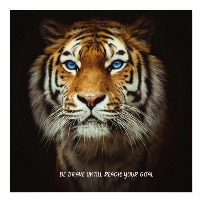 Foto Hogar y Vida > Decoración del hogar > Pillows & Po (Frente)