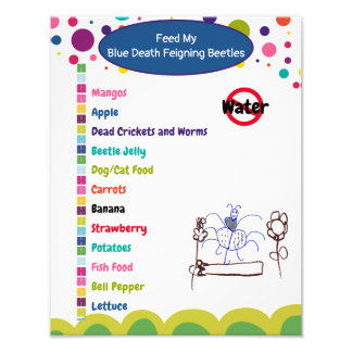 Foto Hoja de cuidado del escarabajo azul para la muerte