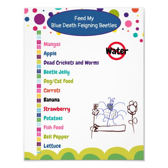 Foto Hoja de cuidado del escarabajo azul para la muerte (Frente)