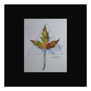 Foto Hoja de la caída