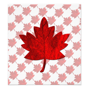 Foto Hoja del Canadá-Arce de Shirley Taylor