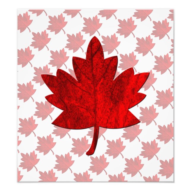 Foto Hoja del Canadá-Arce de Shirley Taylor (Frente)