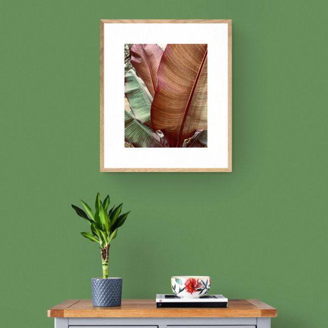 Foto Hoja verde y roja profunda (A 16" x 20" printed, framed.)