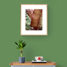 Hoja verde y roja profunda