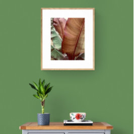 Foto Hoja verde y roja profunda