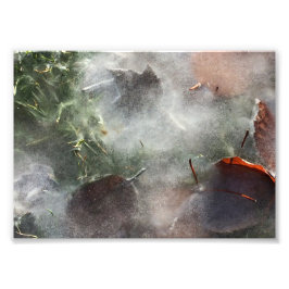 Foto hojas bajo hielo
