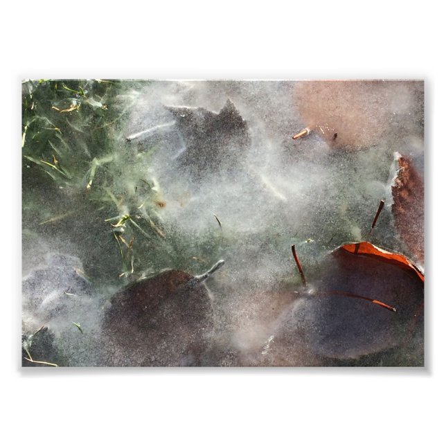 Foto hojas bajo hielo (Frente)