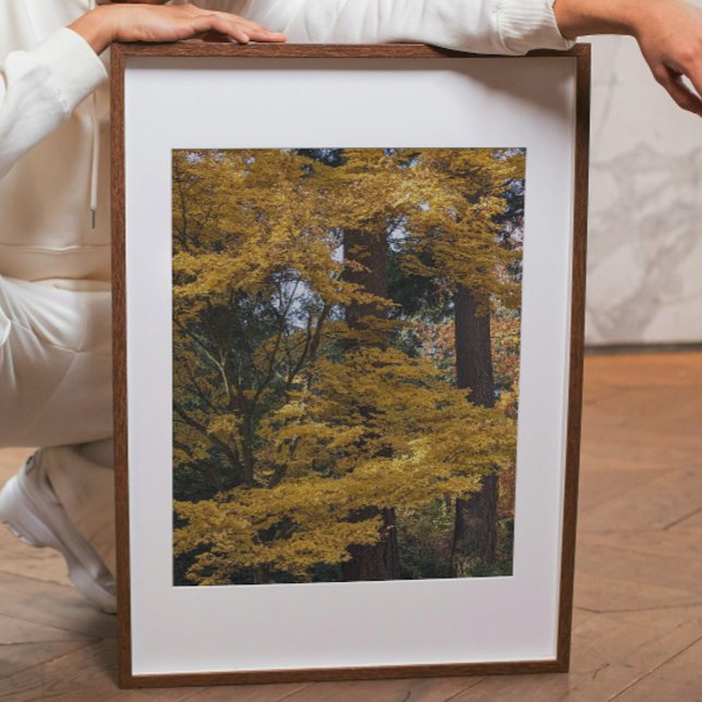 Foto Hojas Botánicas de Arce Japonés Amarillo Dorado (In Situ (Framed))