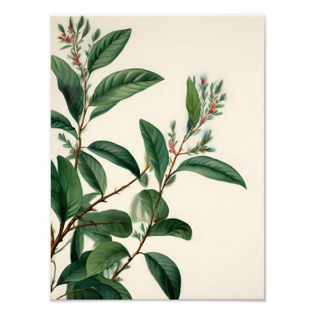 Foto Hojas botánicas de época (Frente)