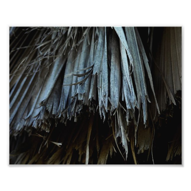 Foto Hojas de árbol de palmas (Frente)