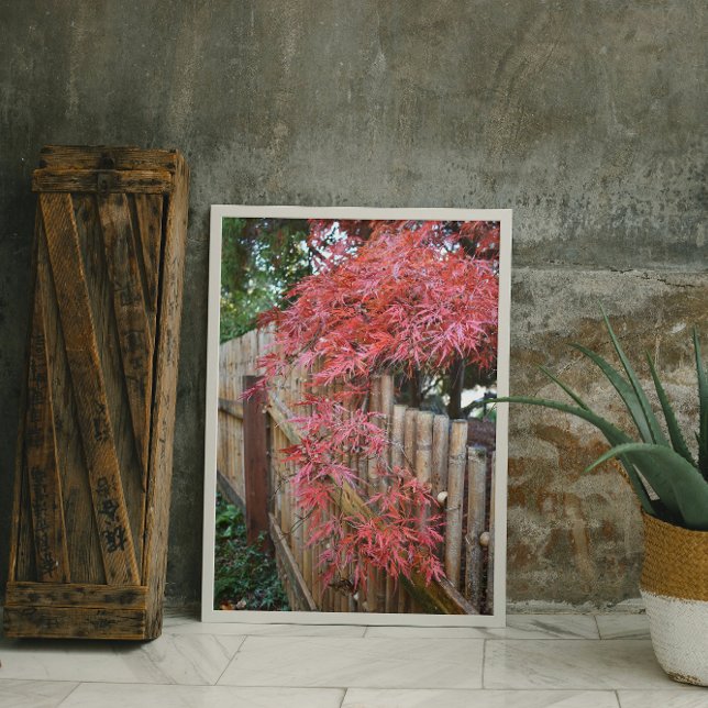 Foto Hojas de arce japonesas de otoño y valla de bambú (In Situ Framed)