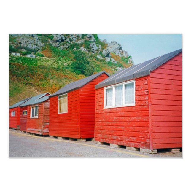 Foto Hojas de Jersey (Frente)