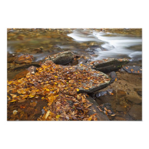 Foto Hojas de otoño a lo largo de Looking Glass Creek e