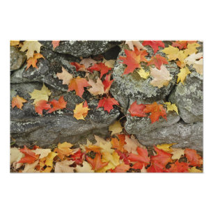 Foto Hojas de otoño en muro de piedra, Minute Man