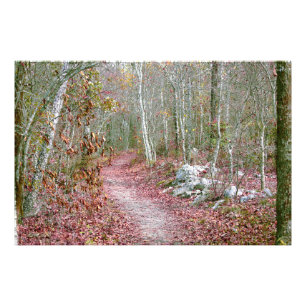 Foto Hojas de otoño rosadas, sendero Goat Rock, Arkansa