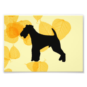 Foto Hojas del oro de Airedale Terrier