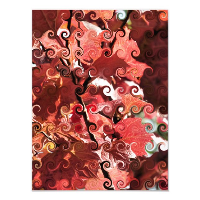 FOTO HOJAS ROJAS (Frente)